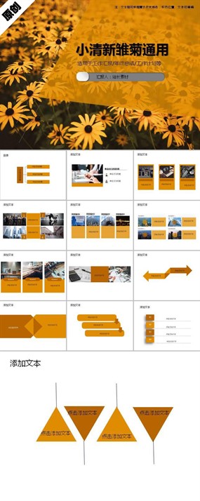 小清新雏菊通用PPT模板